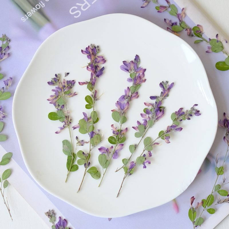 6 pièces, fleurs séchées press - Resin Art Baby avis et prix