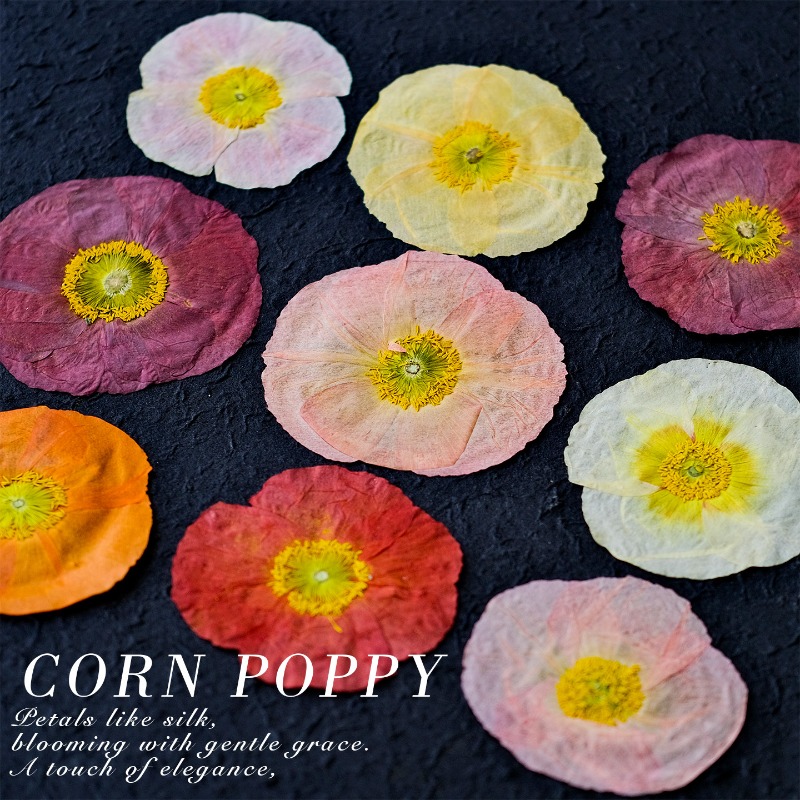 1 pièce, Fleurs de pavot de ca - Resin Art Baby avis et prix