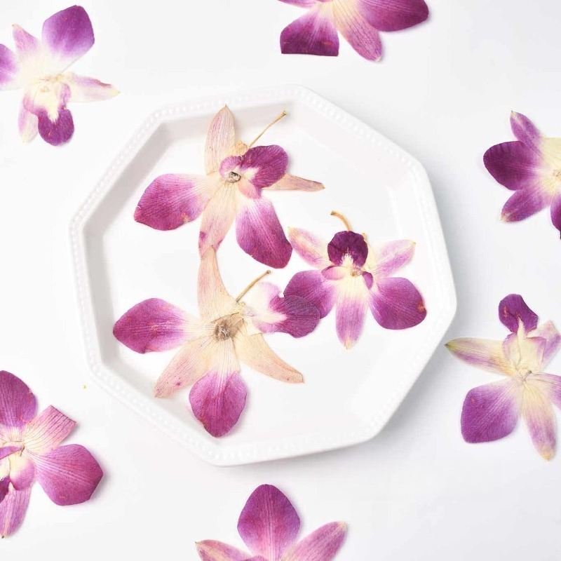 4 pièces, véritables fleurs d' - Resin Art Baby avis et prix