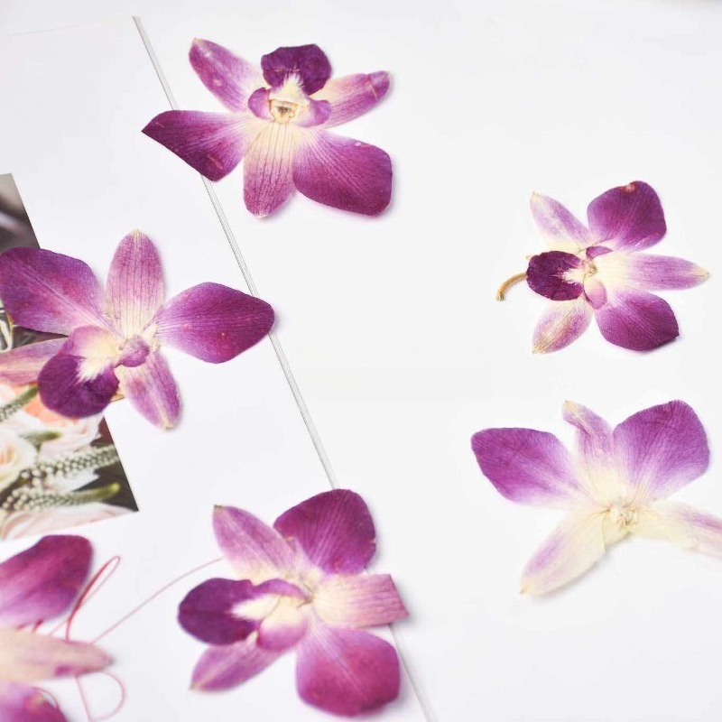 4 pièces, véritables fleurs d' - Resin Art Baby avis et prix