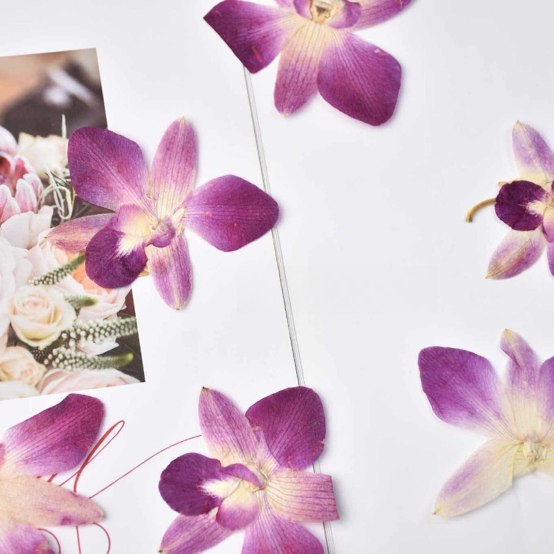 4 pièces, véritables fleurs d' - Resin Art Baby avis et prix