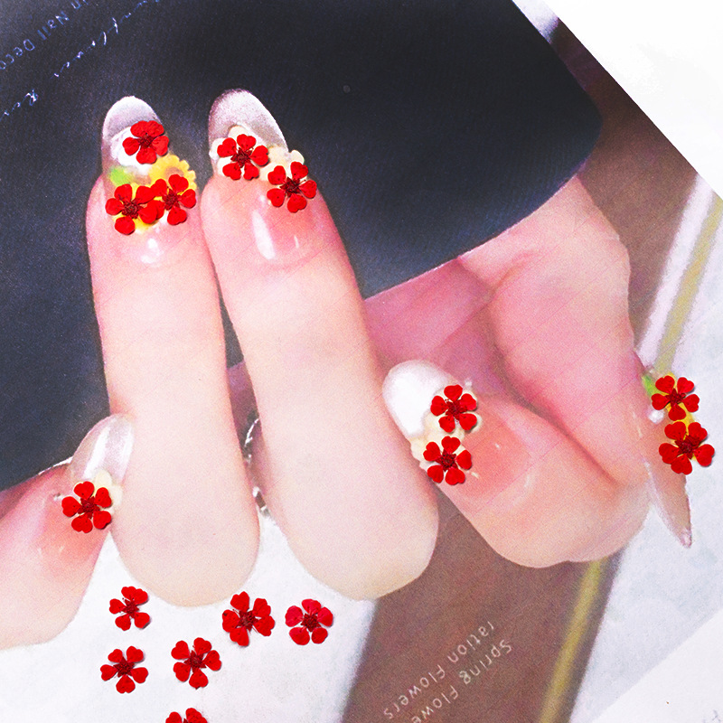 96 mini fleurs pressées nature - Resin Art Baby avis et prix