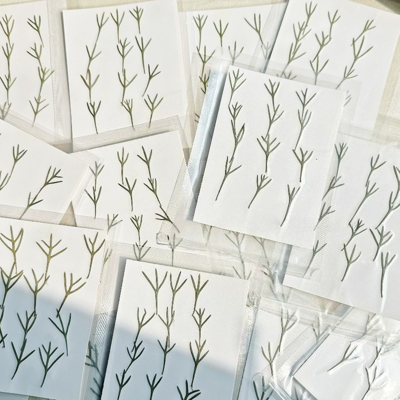 24 pièces, Feuilles d'achillea - Resin Art Baby avis et prix