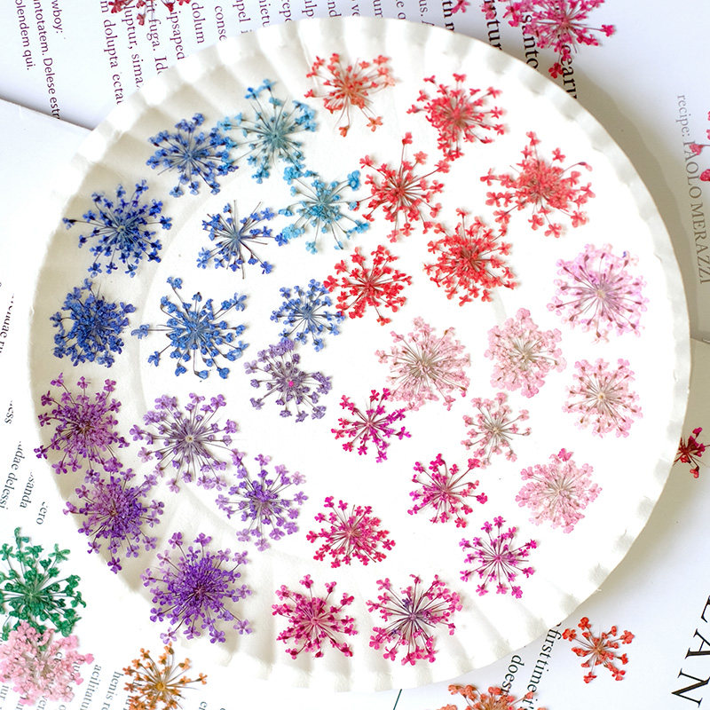 24 pièces, 2-2,5 cm, mini péta - Resin Art With Flowers avis et prix
