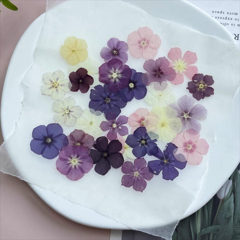 12 pièces, fleurs séchées pres - Resin Art Baby avis et prix